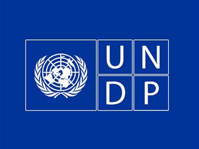 „Strengthening Research and Development Statistics in the Republic of Moldova” for UNDP