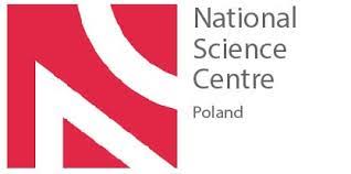 Witamy w Centrum Łukasza Szymulę – w czteroletnim projekcie NCN Preludium BIS nt. globalnej współpracy naukowej i produktywności badawczej (2020-2024)!